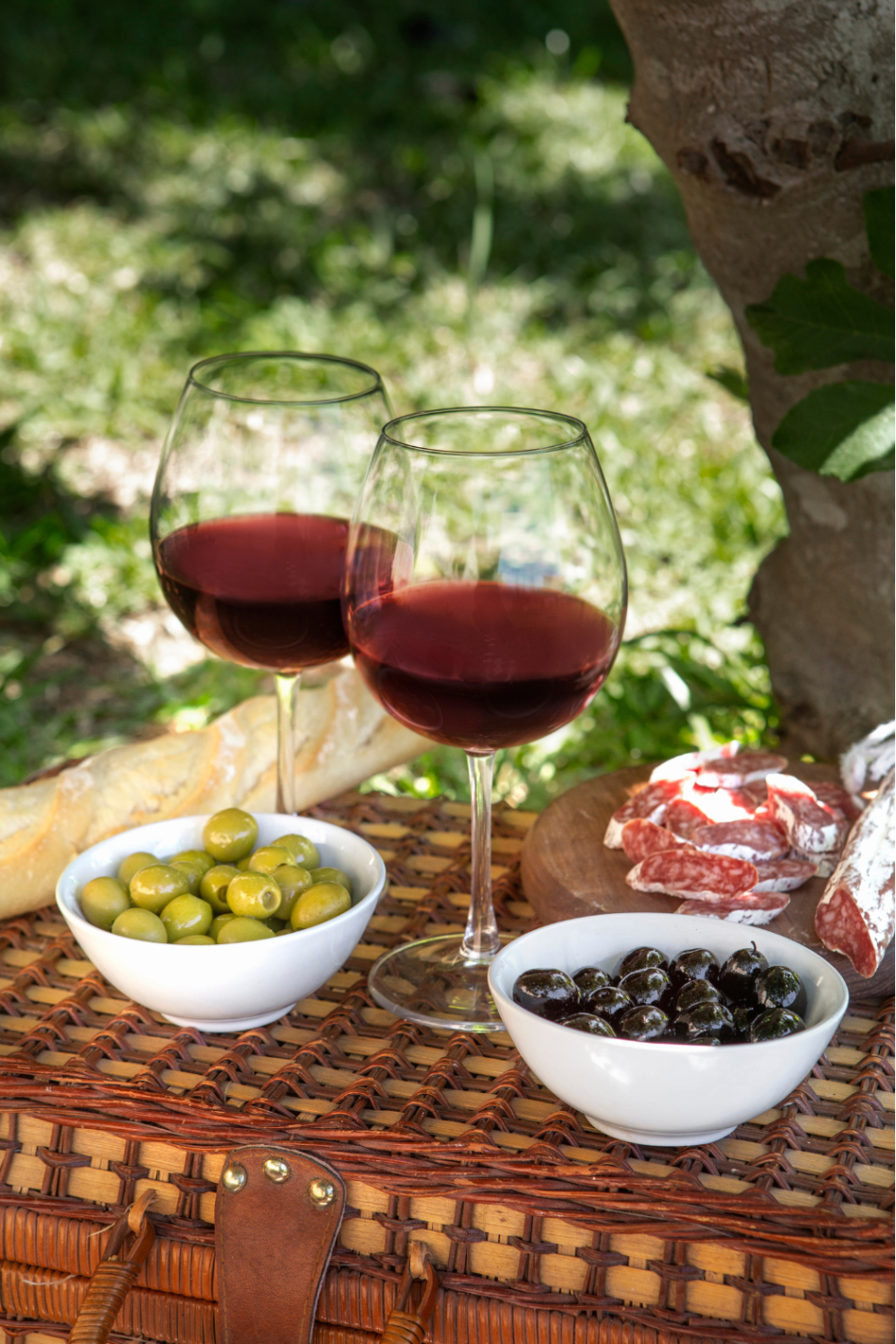 Découvertes & expériences locales